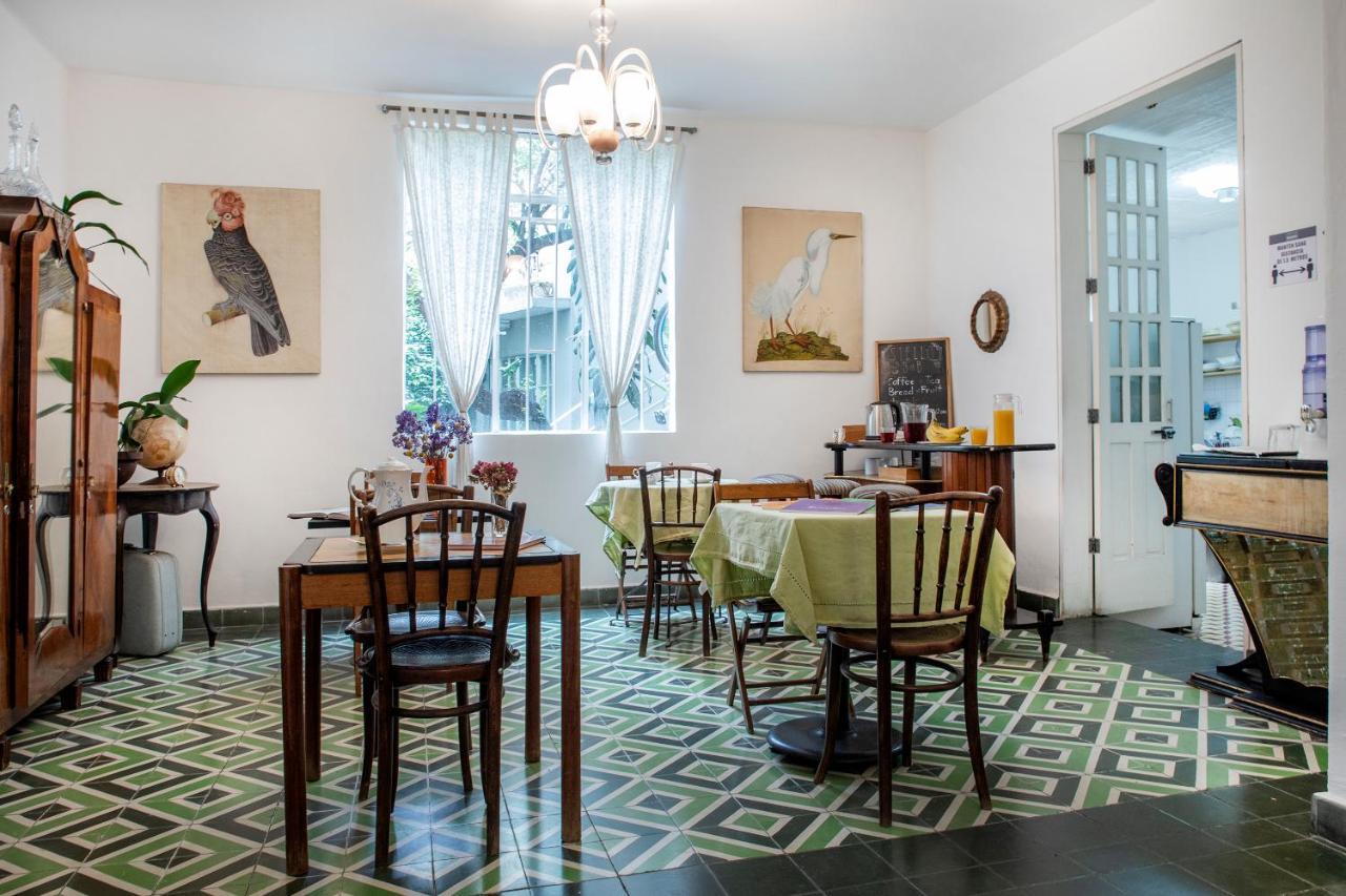Stella Bed & Breakfast Meksyk Zewnętrze zdjęcie